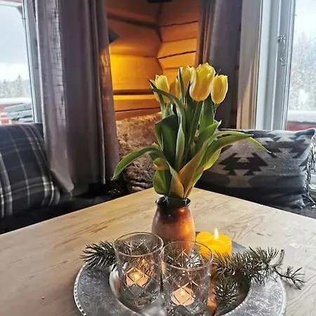 Apartment Mountain With A View And Hot Tub Seljord