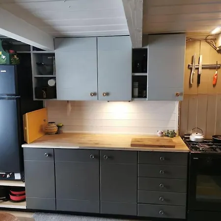 Mountain With A View And Hot Tub Apartment Seljord