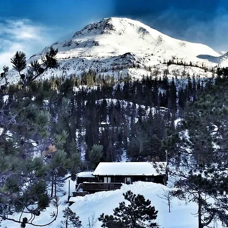 Apartment Mountain With A View And Hot Tub Seljord