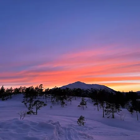 Mountain With A View And Hot Tub Apartment Seljord